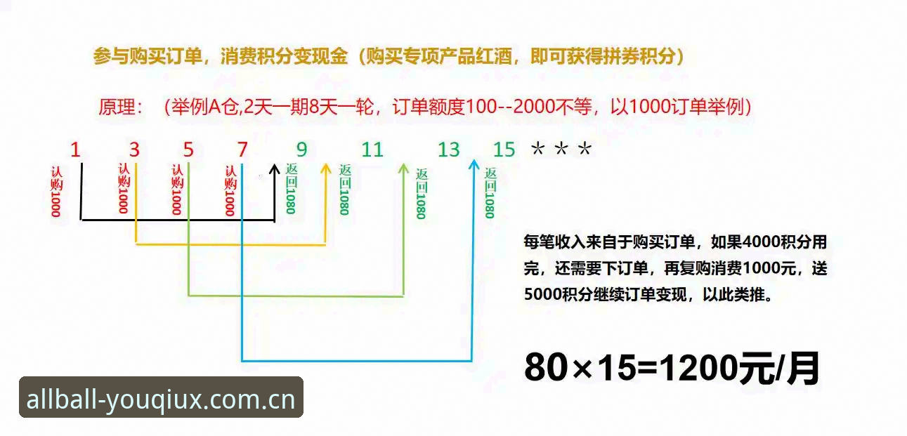 深度揭秘：有球体育用户评价安装失败背后的真相与解决方案